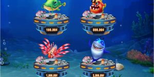 Chinh Phục Bắn Cá Fish Catch Đổi Thưởng Khủng Siêu Hấp Dẫn